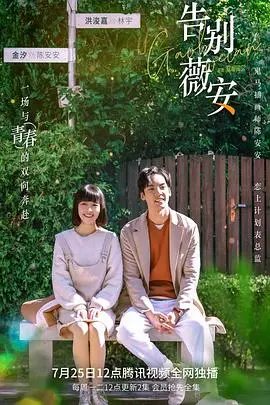 感人至深的离别之作：《告别薇安》中的情感告白