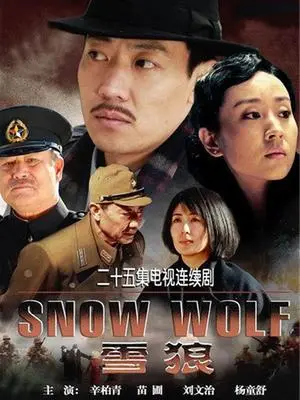 《雪狼》：冰雪中的生死较量，看特种兵如何捍卫国家尊严！